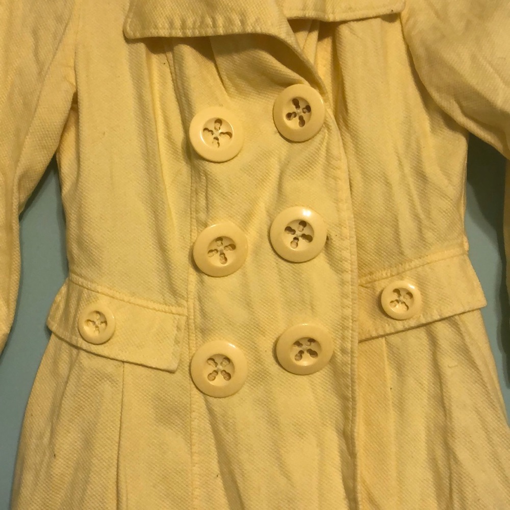 Yellow Jacket - Picture 3 of 3